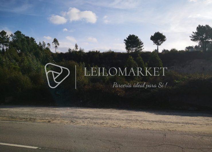 IMG_20221018_101756-1600x1200