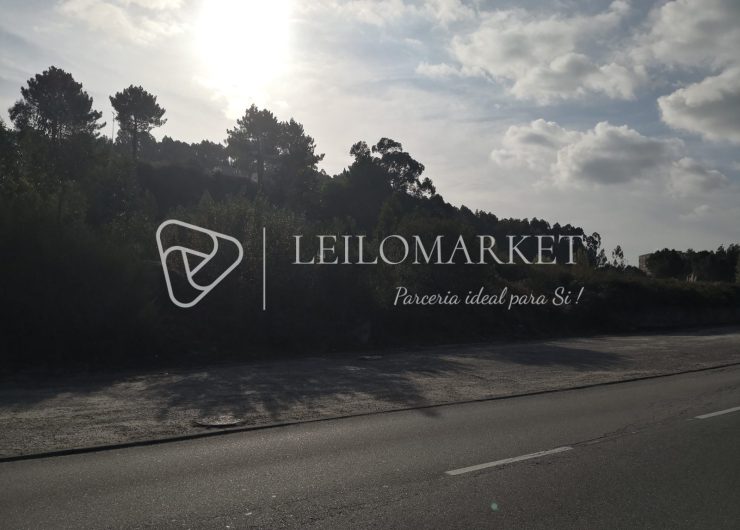 IMG_20221018_101847-1600x1200