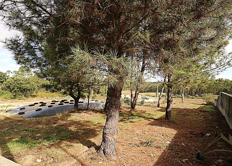 IMG_6805-1-1600x1080