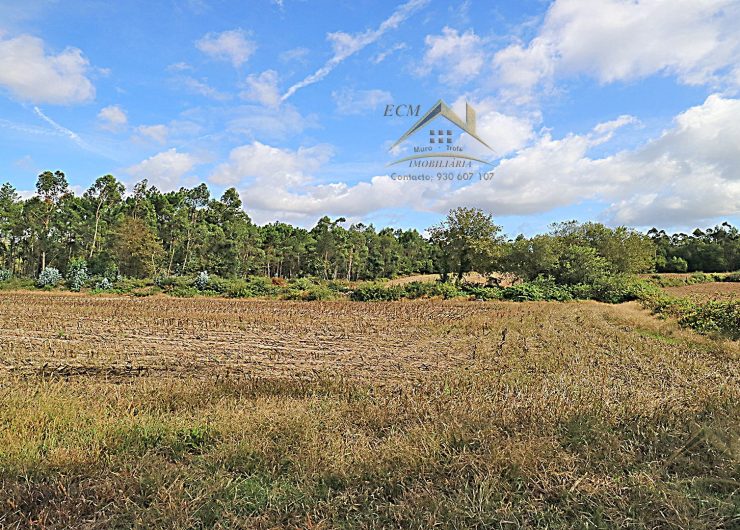 IMG_6820-1-1600x1080