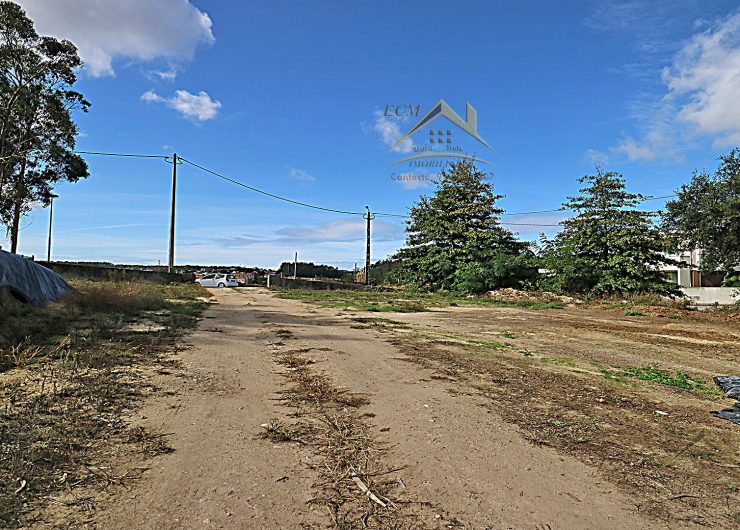 IMG_6826-1-1600x1080