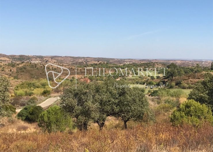 Terreno-urbano-Lote-29-V.R.S.A