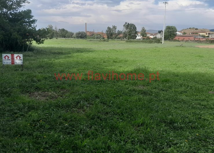 WhatsApp-Image-2023-05-03-at-16.29.01-1600x1148