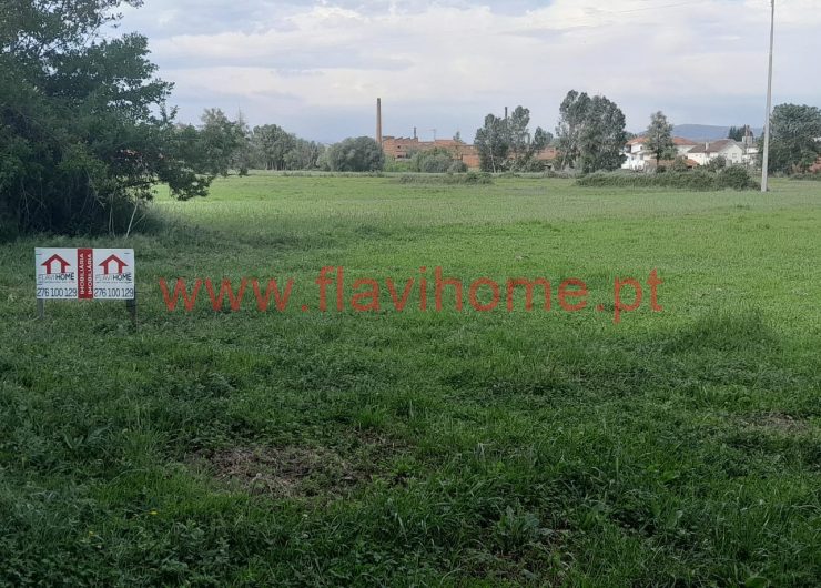 WhatsApp-Image-2023-05-03-at-16.29.06-1600x918