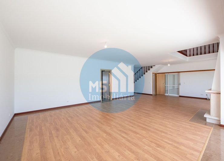 redimensionadoDSC_5636