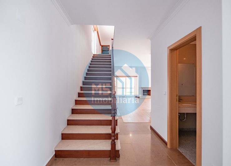 redimensionadoDSC_5648