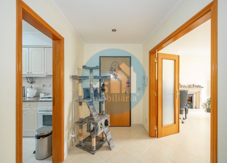 redimensionadoDSC_5920