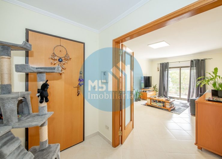 redimensionadoDSC_5921