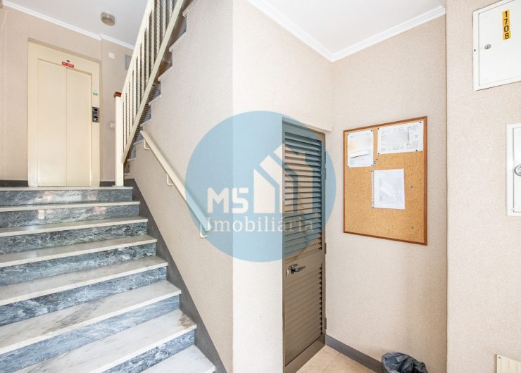 redimensionadoDSC_5929