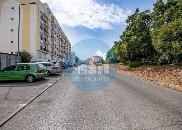 redimensionadoDSC_5931_1