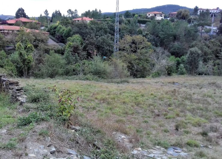 20190927_142255-1600x1200