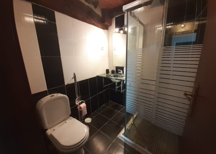 20250726_105332-1600x1200