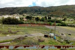 2bd848c6-61ff-42b5-bf11-19c7bd0dd6a5