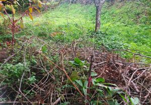 312960482_441915294542756_4420037690451312982_n-1496x1200