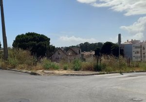 44b415_b8c728c45b1344ed8f1e6ce2a4b65e92_mv2