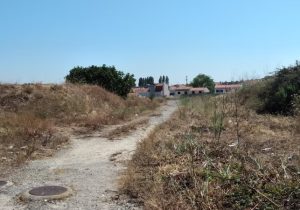 44b415_d1ee701a49a2478fa97f3f9274bbde10_mv2