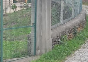 541f9b6b-6df6-4636-bcc5-1ef23eb9c241-1542x1200