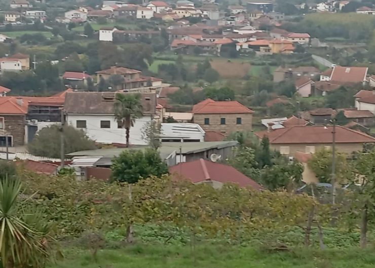 8729acf4-1ed8-4e2e-8bce-4d280235081b-1542x1200