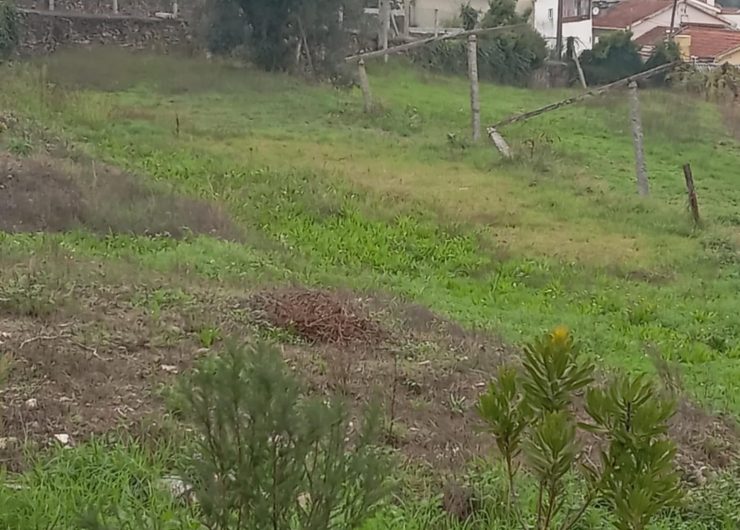 96e1390f-2417-4261-abf5-6e0f70ff6ed6-1542x1200