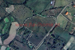 Captura-de-ecrã-2025-07-29-112524