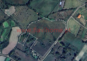 Captura-de-ecrã-2025-07-29-112524