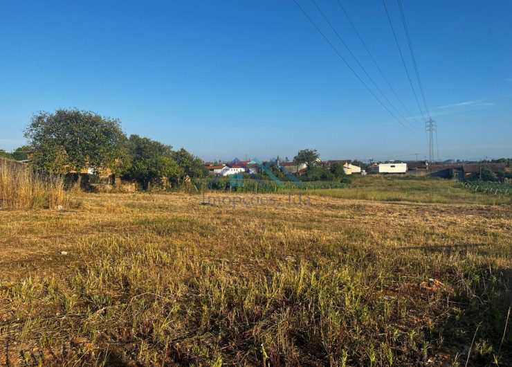 IMG-20230606-WA0012-1-1600x1200