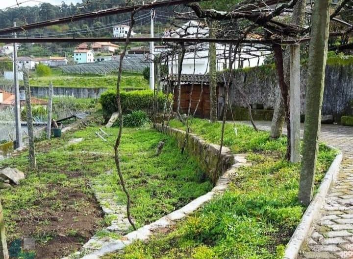 WhatsApp-Image-2023-05-25-at-22.01.41