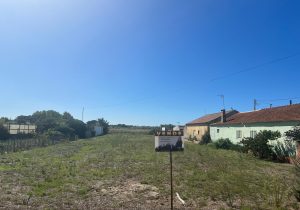 WhatsApp-Image-2025-10-23-at-15.27.45-3