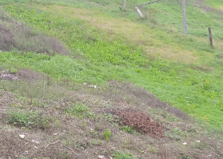 cf98c906-4549-4405-9089-8803578e99f8-1542x1200