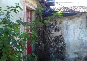 118128992_317116822867817_1462913505154674994_n