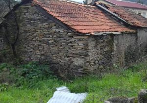 84401274_569712177224101_5715648572351840256_n-1-1600x918